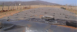 Tapado de silo aéreo o tipo torta.
