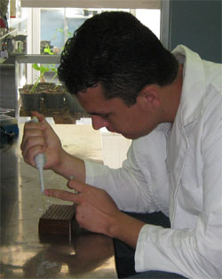Momento de la prueba en el laboratorio de la Unidad de Biotecnología del Instituto Nacional de Investigaciones Forestales, Agricolas y Pecuarias.