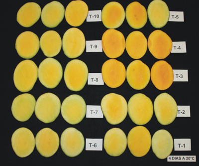 Color interno en frutos de mango Tommy Atkins tratados en precosecha con fitrorreguladores y sales minerales. 