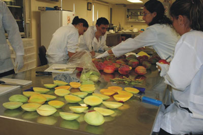 Manejo de frutos de mango en laboratorio para determinar calidad de fruta.