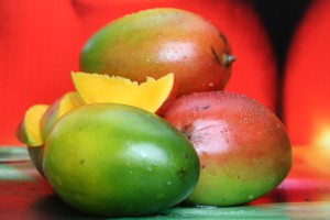 La ganancia que se obtiene en el cultivo de mango al comercializar la fruta en fresco es de mil 800 pesos por hectárea.