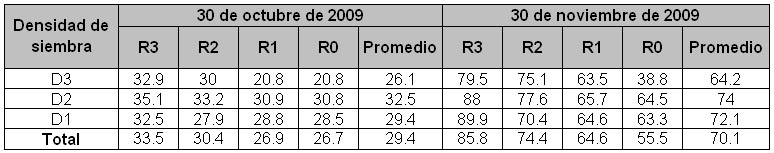 Donde: R1= Un riego cada 28 días; R2= Un riego cada 14 días; R3= Un riego cada siete días. D1= 250 mil plantas por hectárea; D2=500 mil plantas por hectárea; D3= Un millón de plantas por hectárea.
