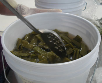Deshidratado de nopal-verdura.