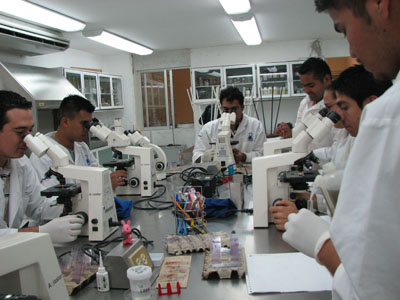 Figura 1. Las muestras se analizan en el Laboratorio de Parasitología de la Facultad de Medicina Veterinaria y Zootecnia de la UAS.