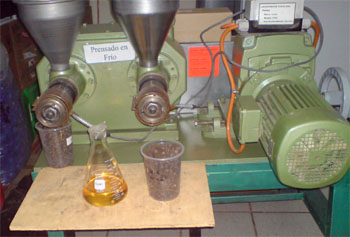 Sistema de extracción en frio de aceite y obtención de pasta de jatropha