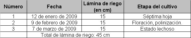 Se aplicó el mismo número de riegos en los dos tratamientos (paclobutrazol y en el testigo).