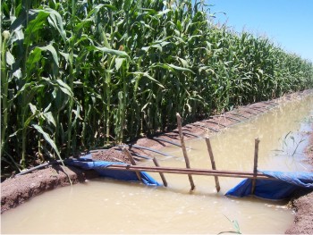 La aplicación de un modelo de programación integral del riego vía Internet, permitirá una eficiencia del 65% en el uso del agua a nivel parcelario.