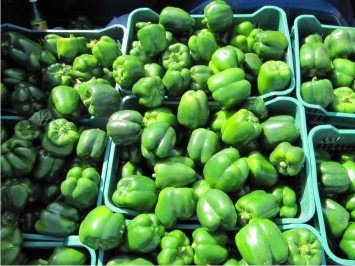Como producto de siete cortes efectuados, tres híbridos de chile bell evaluados en 2009-2010 superan los 2 mil 650 bultos por hectárea.