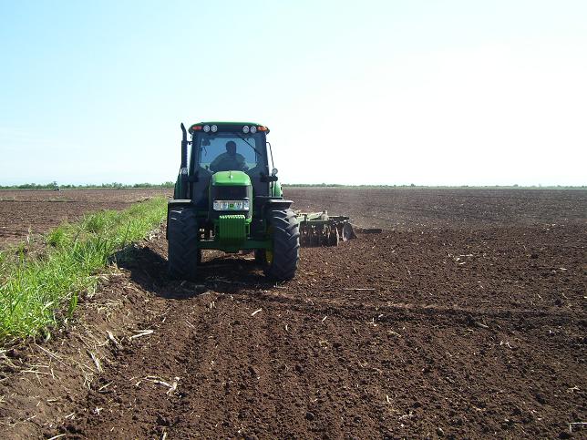 Rastreo en el lote de validación.