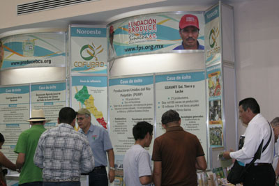 Stand de FPS en Campeche.