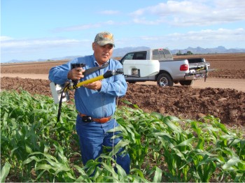Toma de lecturas con el Green Seeker en un cultivo de maíz.
