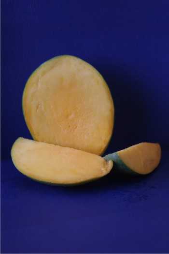 Nueva opción para conservación de mango con alta calidad nutritiva.
