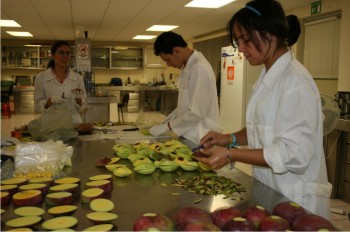 Proceso de limpieza y descascarado de mango Kent.