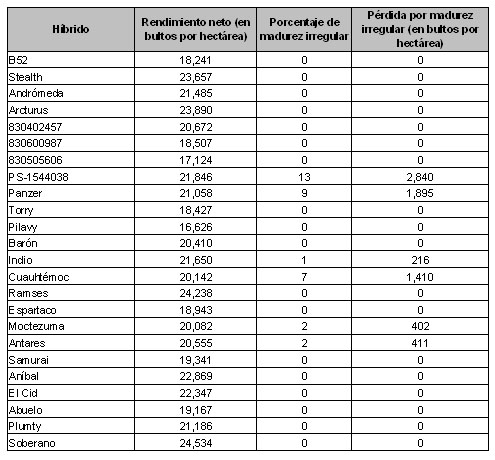 *Rendimiento total que obtendría el híbrido sin daño por madurez irregular.