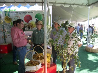 Los productores comentaron sus inquietudes con René Jiovanni López Carranza, Presidente del Consejo Consultivo de la zona norte de Fundación Produce Sinaloa, A.C.