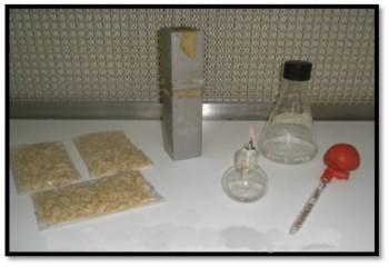 La evaluación de las propiedades de leguminosas, podría permitir la elaboración de bebidas nutraceúticas.