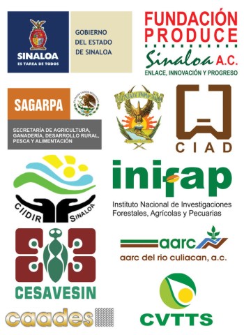 GRUPO TECNICO DE EMERGENCIA INVERNAL PARA EL ESTADO DE SINALOA