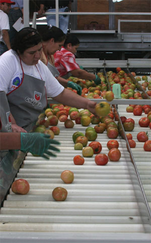 Fundación Produce Sinaloa, A.C. apoya alternativas biológicas para la descontaminación de alimentos.