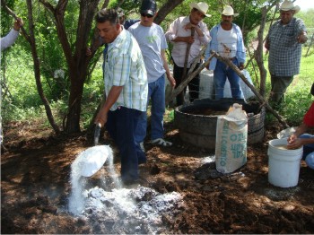 Figura 1. Capacitación a productores para la preparación de bocachi.