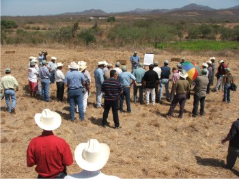 El sector agropecuario será el principal beneficiado con la investigación.