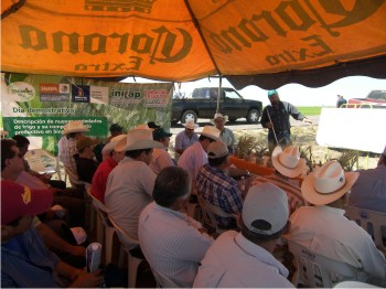 En el ejido Bacorehuis, valle de El Carrizo, Ahome, se llevó a cabo un día demostrativo en el que se mostraron los avances de la validación de 13 variedades de trigo.