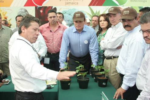 Presentación de proyectos ante invitados especiales.