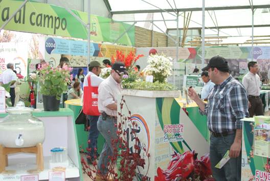 Material en vivo presente en el stand.