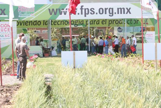 Material del área verde.