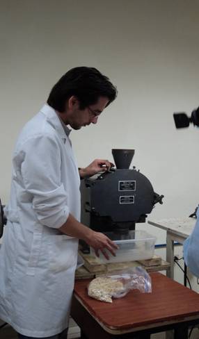 Figura 1. Molienda de extrudidos para la producción de harina de amaranto.