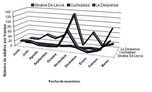 Figura 3. Número promedio de adultos de Diaphorina citri en trampas de impactación en limón mexicano, en tres huertas del norte de Sinaloa.