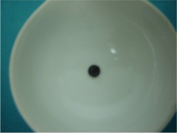 Figura 1. Aislado fúngico antagonista, Trichoderma sp.