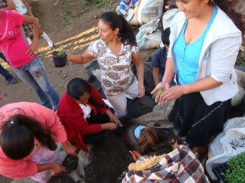 los talleres se capacitaron a un total de 100 personas.