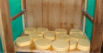 Queso Chihuahua listo para consumirse.
