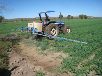 Aplicación de herbicida en el cultivo de trigo.