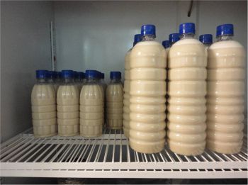 Bebidas nutracéuticas producidas a partir de harinas obtenidas a partir de maíz, garbanzo y frijol integrales de Sinaloa.