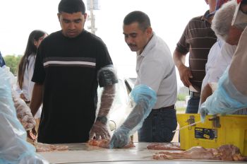 Momento en que los asistentes se familiarizan con las matrices de vaca.