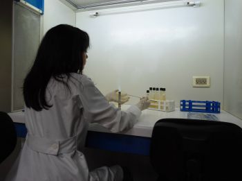 Activación de cepas de Bacillus y Pseudomonas