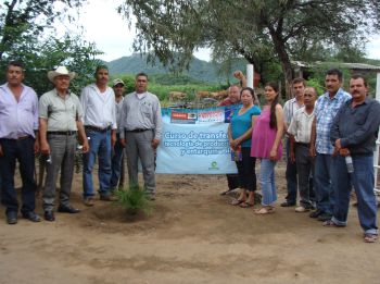 de tecnología de producción de sorgo y entarquinamiento en Sinaloa.