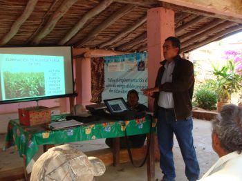 El Ing. Luis Alfonso Moraila Ibarra técnico del Centro de Validación y Transferencia de Tecnología de Sinaloa, A.C. (CVTTS), durante el curso sobre sorgo Gavatero-203