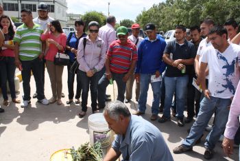 Asistentes presenciando cómo se prepara el insecticida a base de semilla de nim.