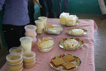 Figura 1. Productos lácteos elaborados durante el curso-taller.
