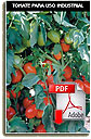 Tomate parauso Industrial