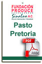 Pasto Pretoria 90